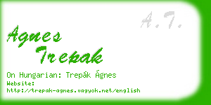 agnes trepak business card